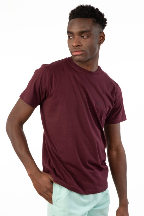 REBASE ΑΝΔΡΙΚΟ T-SHIRT BASIC RTS-287 BORDEAUX